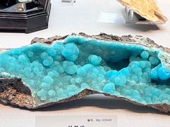 -湖南省地质博物馆