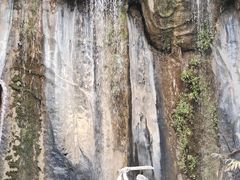 -西双版纳原始森林公园