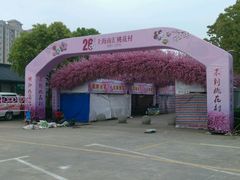-南汇桃花村