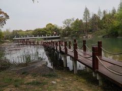 -苏州金鸡湖大酒店
