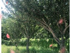 -夏津德百度假村温泉