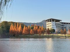 -浙江农林大学(东湖校区)