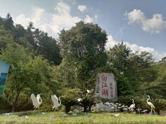 -广州白江湖森林公园