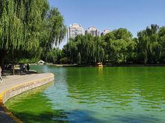 -团结湖公园