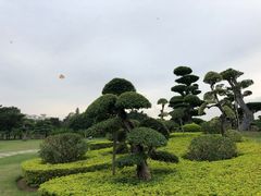 -南宁南湖公园