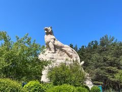 -帽儿山国家森林公园