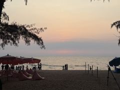 -卷心菜和避孕套餐厅(Pattaya)