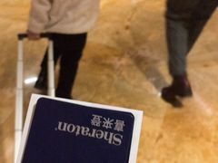 -济南喜来登酒店