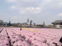 -中国天府农业博览园