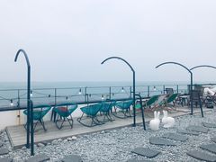 -Cafe Rooftop Cheongsapo