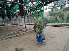 -丹樱生态园