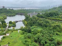 -张坝桂圆林公园