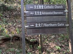 -上海佘山国家森林公园西佘山园