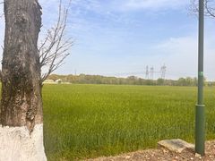 -嘉北郊野公园