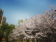 -白塘生态植物园