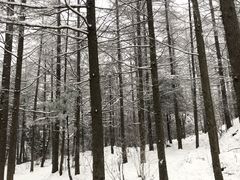 -秦岭风景区