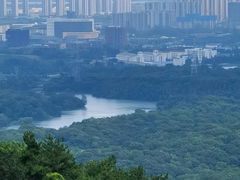 -南京老山国家森林公园