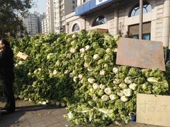-和平门菜市场