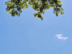 -水墨汀溪风景区