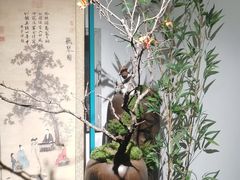 -宋宴(虎跑店)