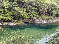 -石台牯牛降景区