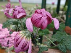 -共青国家森林公园-售票处