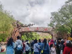 -桑干河大峡谷旅游区