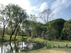 -上海共青森林公园