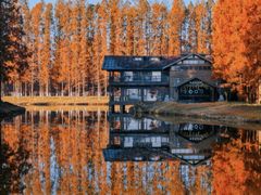 -黄海国家森林公园