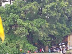-福建土楼(南靖)景区