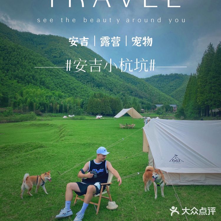 湖州安吉小杭坑营地｜可以带着狗狗🐶去的露营⛺地️