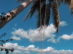 -三亚南山文化旅游区