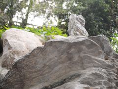 -花洲书院