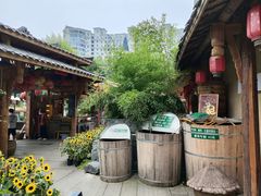 -田园印象·成都土菜院子(华阳店)