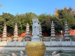-泰山风景名胜区-普照寺
