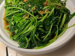 -佬肥猫(国华广场店)