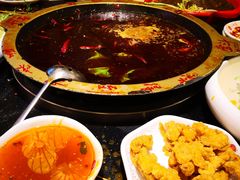 鸳鸯锅-一斗火锅·招财羊毛肚(北温泉九号店)