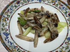 -新光酒家·河豚·海鲜·蟹料理(浦东店)