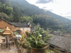 -杨家堂村