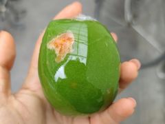 -许阿姨糕团店(南京总店)