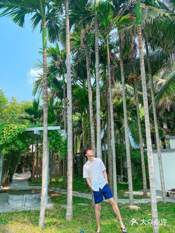 三亚民宿｜人均100，在美学民宿享静雅时光