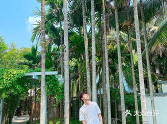 三亚民宿｜人均100，在美学民宿享静雅时光