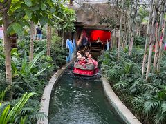 -南宫五洲植物乐园