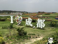 -空港花田景区