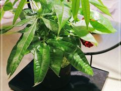-好福记饭店(红梅公园店)