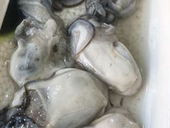 -杏坛公平靓正(伦教滨江店)