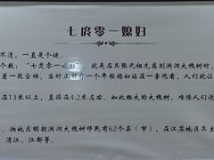 -大槐树民俗饭店-中餐(大槐树寻根祭祖园店)