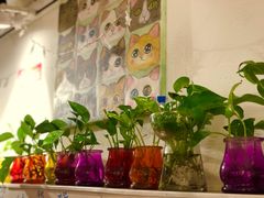 -大王油茶(二厂文创公园店)