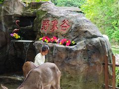 -野象谷景区