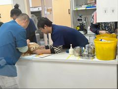-康成宠物医院24H·CT·核磁共振
